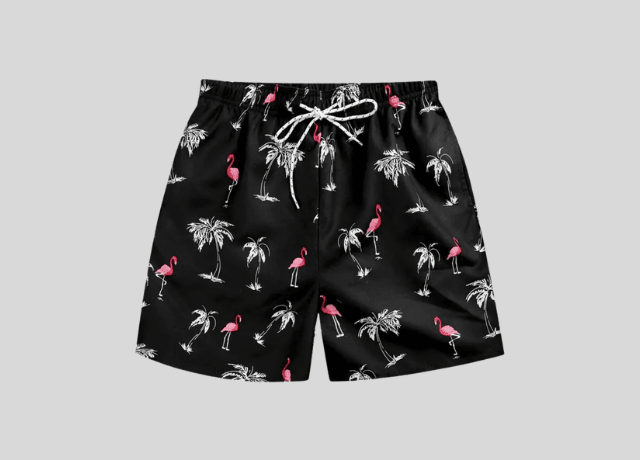 Shorts Men - FestivalStuff
