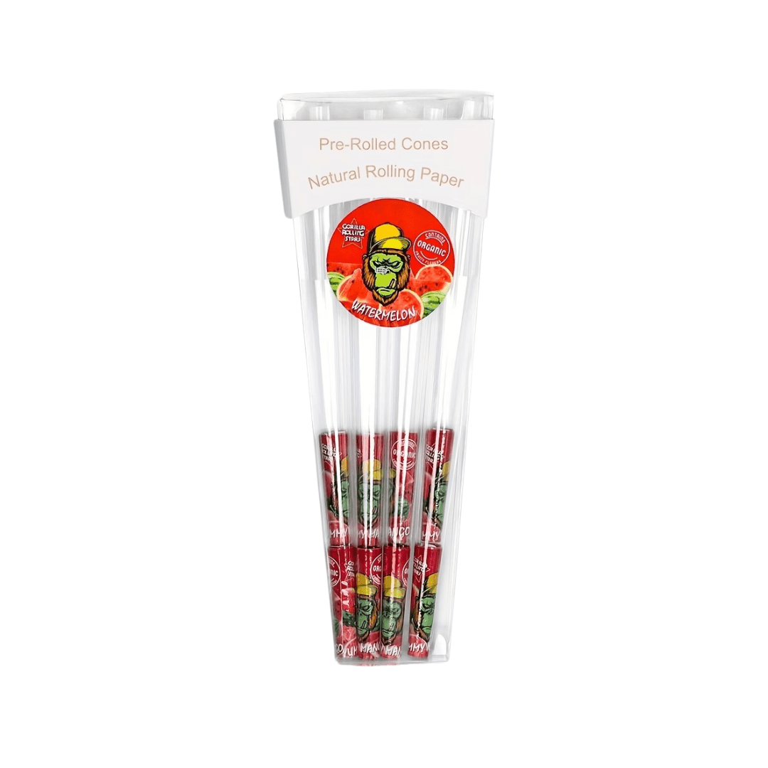 Aromatisierte transparente Pre - Roll Cones Wassermelone - FestivalStuff