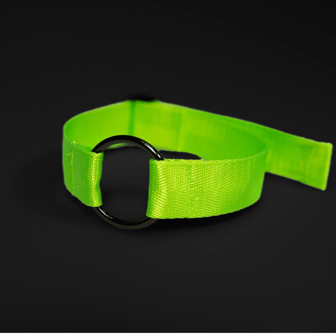 Choker Basic Bitch - FestivalStuff
