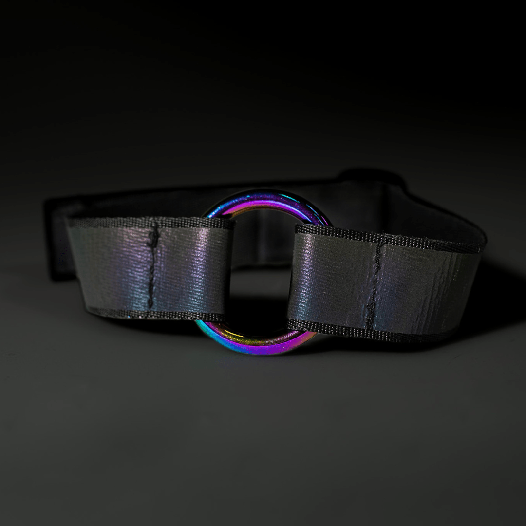 Choker Basic Bitch - FestivalStuff