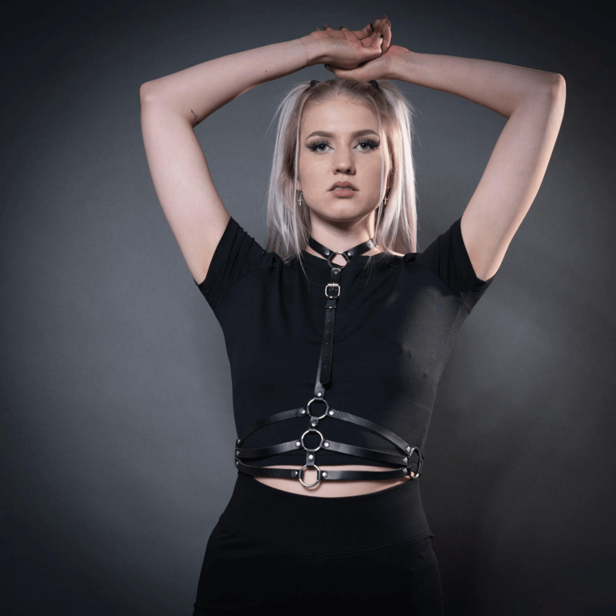 Harness | 002 - FestivalStuff