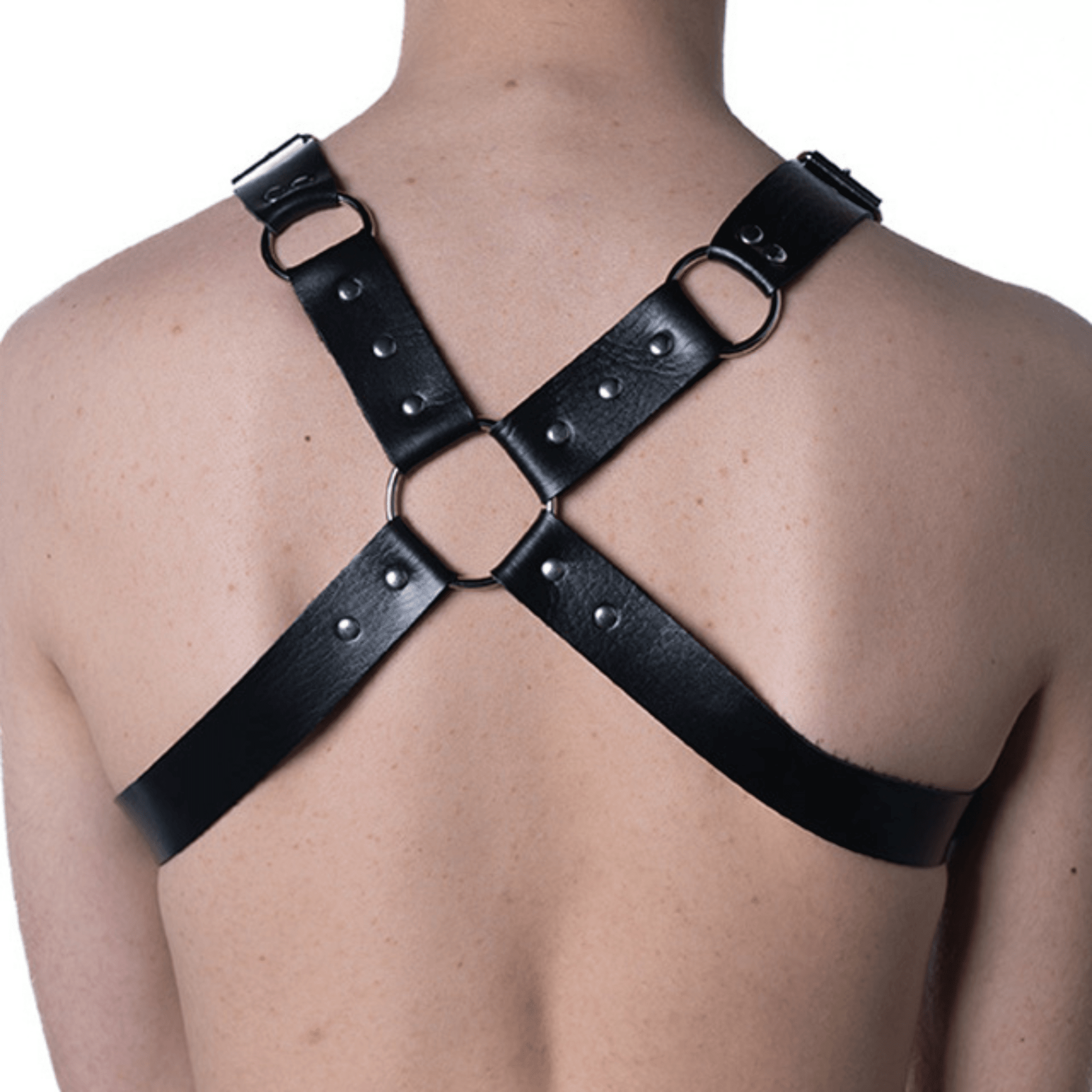 Harness | 005 - FestivalStuff