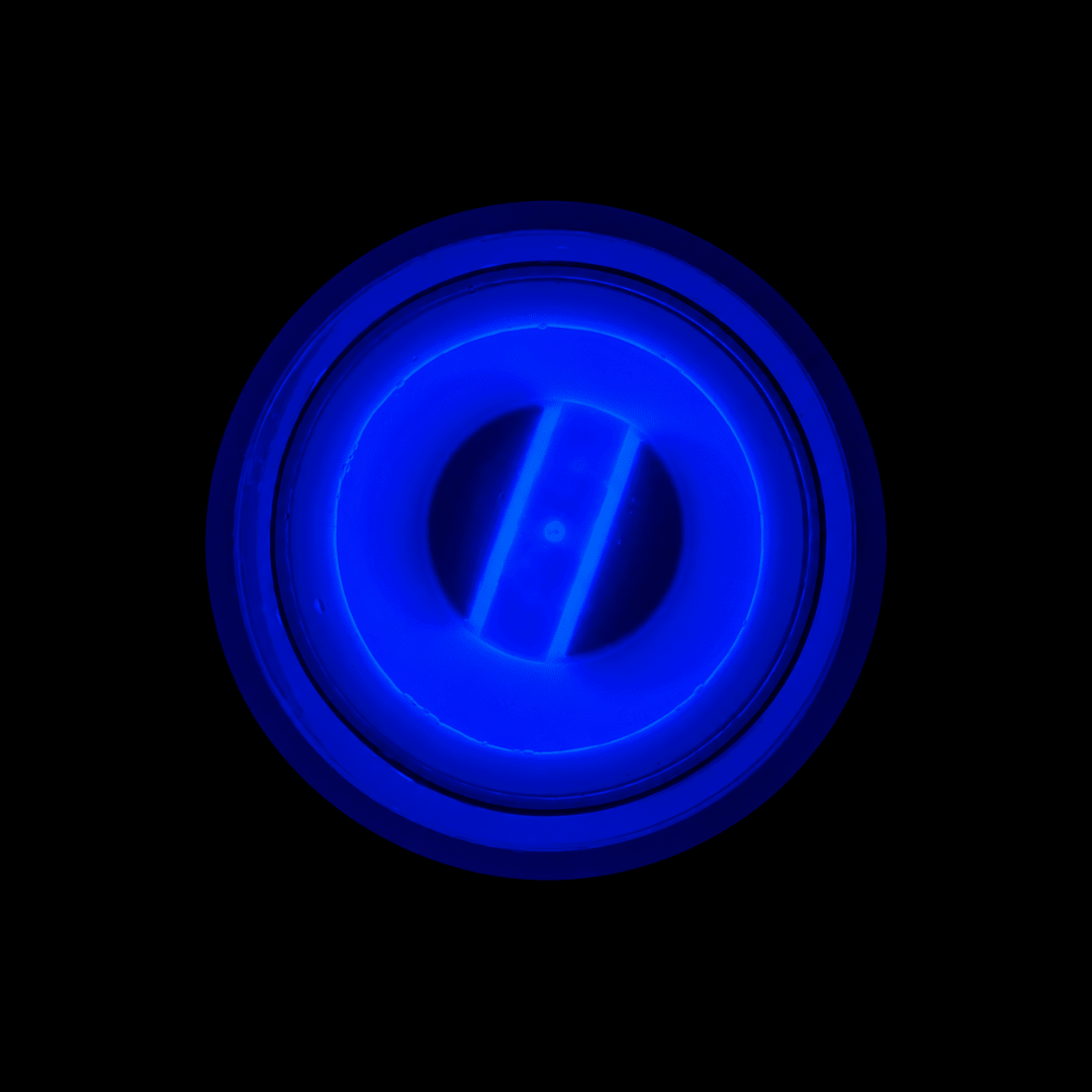 Knicklichtbecher Blau 250 ml - FestivalStuff