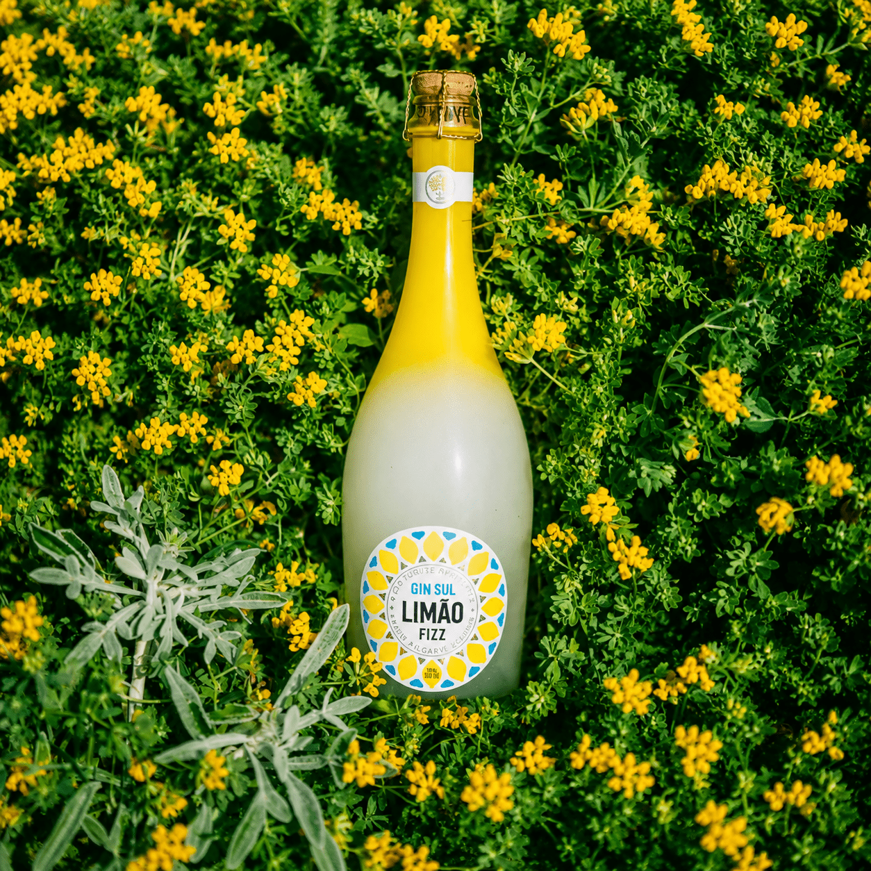 Limão Fizz Aperitif - FestivalStuff