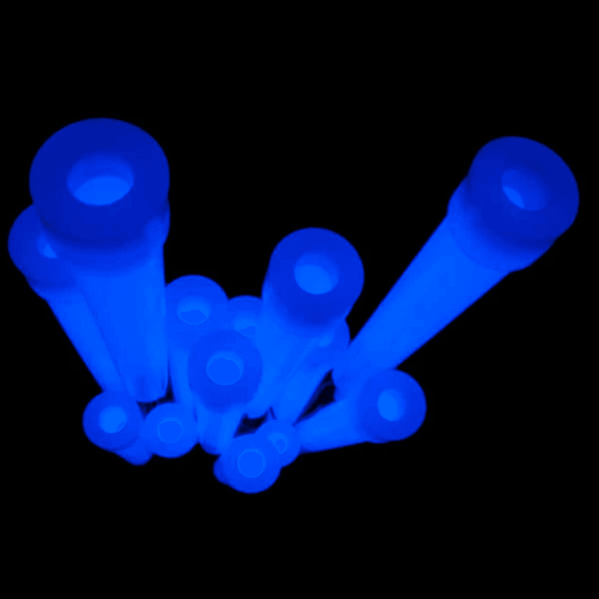 Powerknicklicht 15 x 150 mm - FestivalStuff