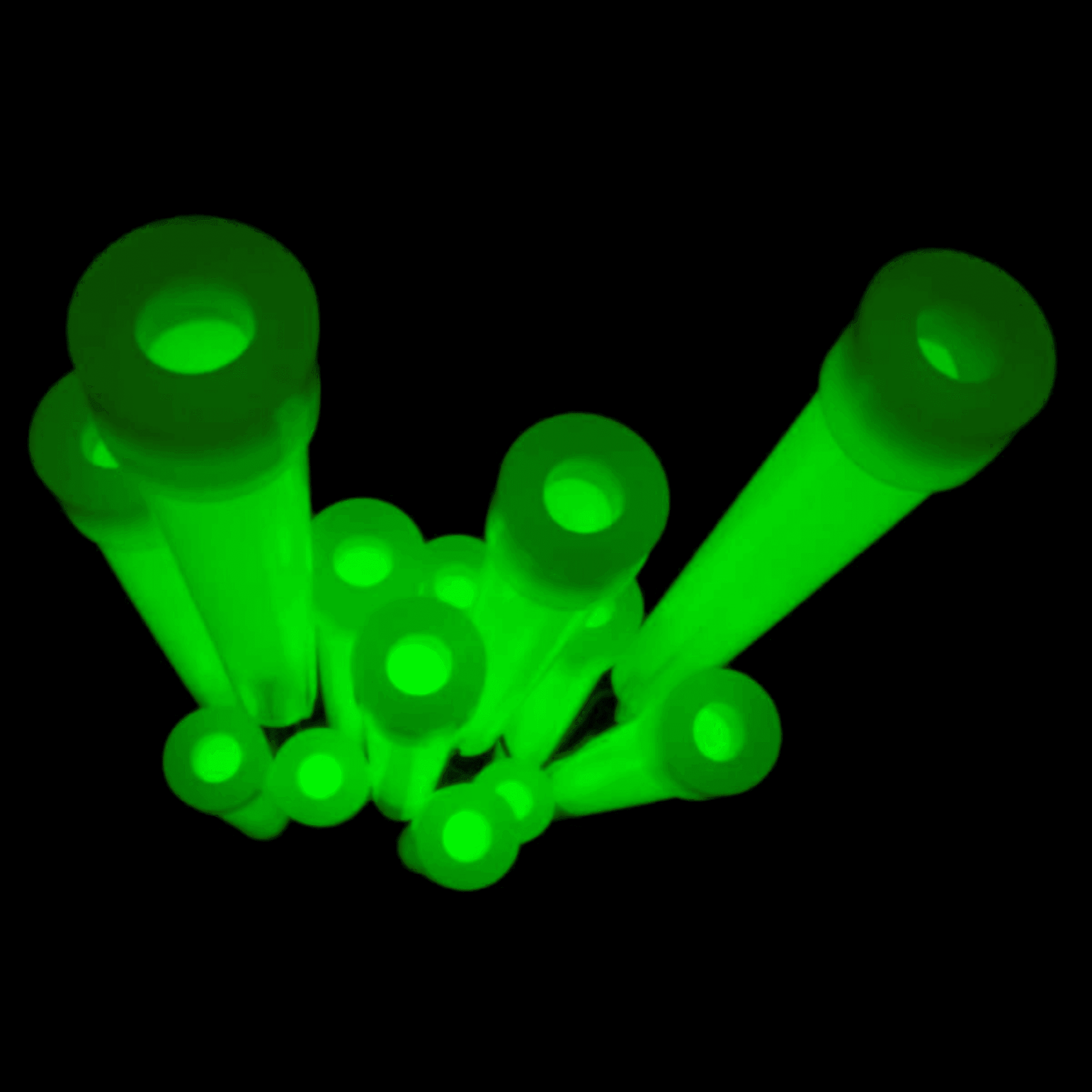 Powerknicklicht 15 x 150 mm - FestivalStuff